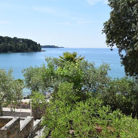 Buric House - Apartments Klasik And Studio Mini Rovinj Exteriör bild