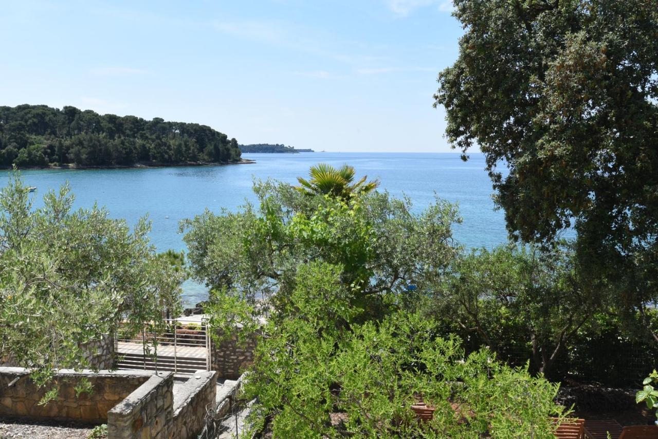 Buric House - Apartments Klasik And Studio Mini Rovinj Exteriör bild